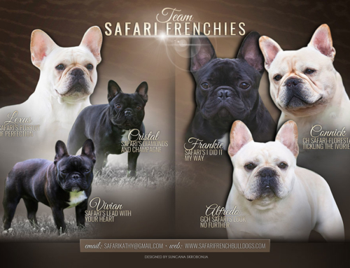 Safari Team inside the Frenchie Fancy Magazine